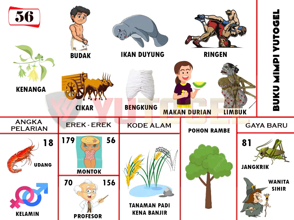 buku mimpi erek erek togel 56